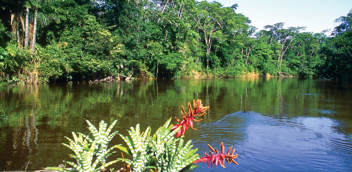 Ecuador & Luxury Amazon