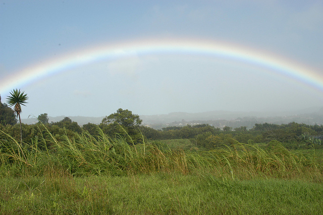 Costa Rican Rainbow | Big Five Tours