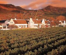 South Africa Vineyard | Big Five Tours