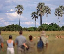 Botswana Safari | Big Five Tours