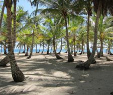 Panama Beach | Big Five Tours