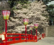 Japanese Garden | Big Five Tours