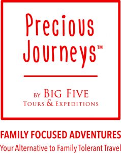 Precious Journeys | Big Five Tours