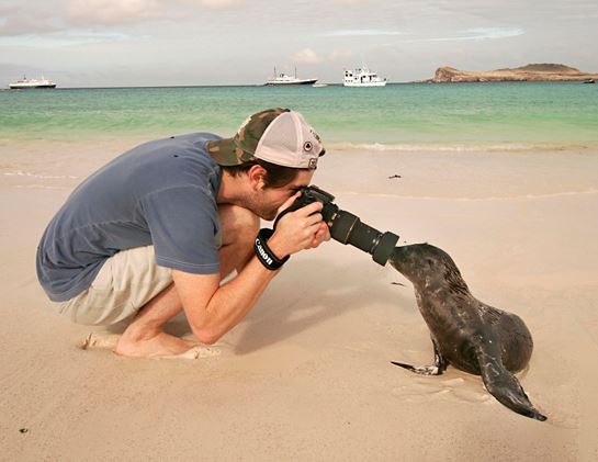 Galapagos-Sea-Lion