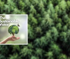 Big Five's The Sustainable Voice